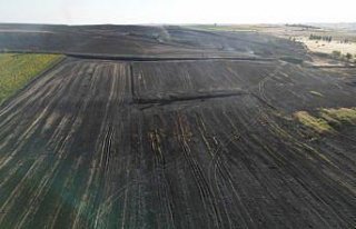 Tekirdağ'da çıkan yangında 1500 dekar tarım...