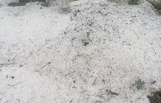 Tokat'ta dolu yağışı etkili oldu