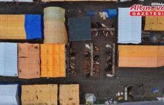 Trabzon'da kurban satışlarından alıcı ve...