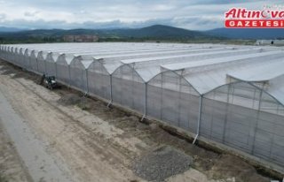 Zonguldak'taki sera organize tarım bölgesi...