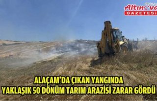 Alaçam'da çıkan yangında yaklaşık 50 dönüm...