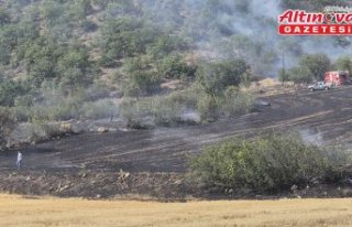 Bayat'ta ormana sıçrayan yangın söndürüldü