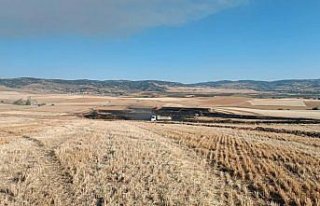 Çorum’da çıkan yangında yaklaşık 3 bin dönüm...