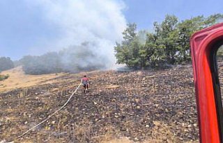 Çorum'da tarlada çıkan yangın ormana sıçramadan...