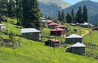 Gölyanı Yaylası'nı turizme kazandırma çalışmaları