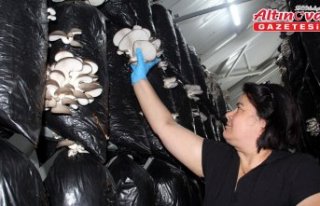 Güçlerini birleştiren 16 kadın, kurdukları tesiste...