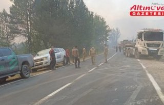 Karabük'te ormanlık alanda çıkan yangına...