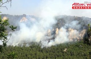 Karabük'teki orman yangınlarına 2. gününde...