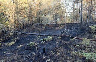 Karabük'te ormanlık alanda çıkan yangın...