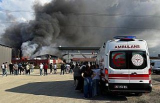 Ordu'da geri dönüşüm tesisinde yangın çıktı