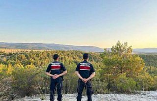 Saraydüzü'nde jandarmadan orman denetimi
