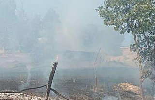 Tokat'ta çıkan yangında 10 dönümlük alan zarar...