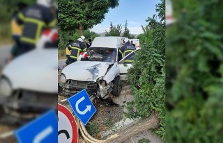 Tokat'ta hafif ticari araç ağaca çarptı,...