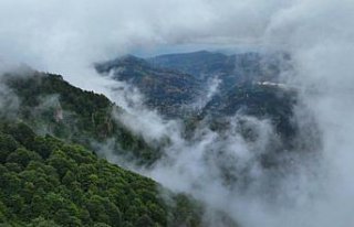 Trabzon'un “Hıdırnebi Yaylası“ sis altındaki...
