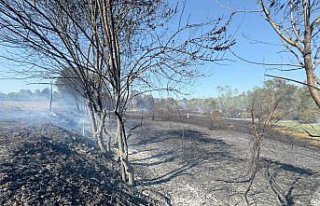 Bartın'da çıkan anız yangını ağaçlık alana...