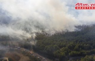 Bolu'da çıkan orman yangınına müdahale ediliyor