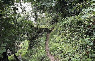 Down sendromlu kızını patika yolu kullanarak evlerine...