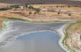 Edirne'deki Demirhanlı Göleti'nin suyu...