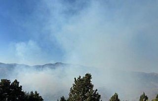 Gümüşhane'de çıkan orman yangınına müdahale...