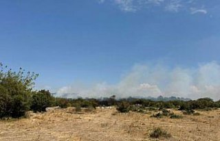 GÜNCELLEME 2 - Bursa'da çıkan orman yangını kontrol...