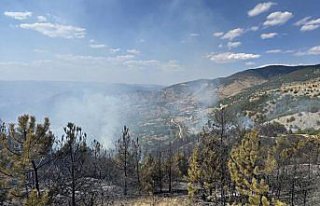 GÜNCELLEME - Çorum'da ormanlık alanda çıkan yangına...