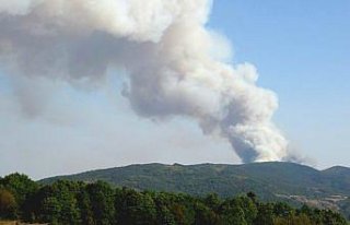 Karabük'te ormanlık alanda çıkan yangına...