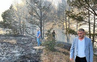 Ordu'da çıkan orman yangını söndürüldü