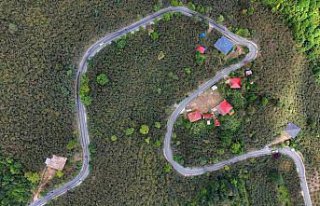 Ordu'da yol çalışması