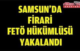 Samsun'da firari FETÖ hükümlüsü yakalandı