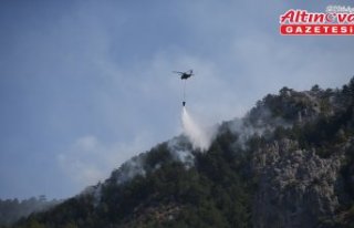 Sinop'ta çıkan orman yangınına müdahale...