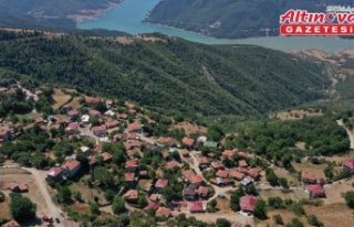 Sinop'taki orman yangını kontrol altına alındı