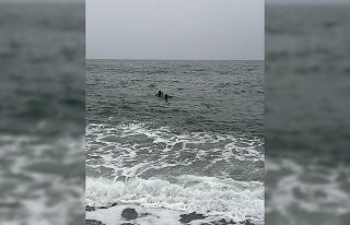 Trabzon'da denizde kaybolduğu iddia edilen çocuk...