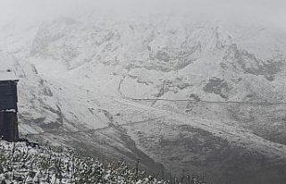 Artvin'de yaylalara kar yağdı