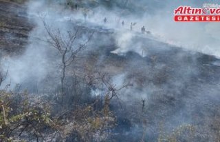 Bafra'da çıkan örtü yangınında 150 dekar...