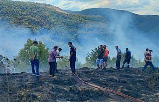 Düzce'de anız yangını ormanlık alana sıçramadan...