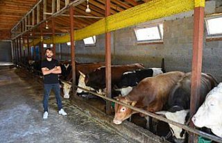 Eski hükümlü İŞKUR hibesiyle aldığı 5 inekle...