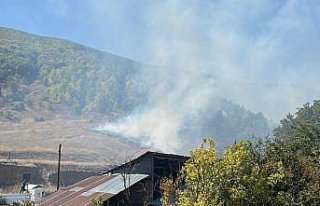 Gümüşhane'de çıkan orman yangını söndürüldü