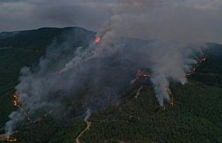 Kastamonu-Karabük sınırında çıkan ikinci yangına...