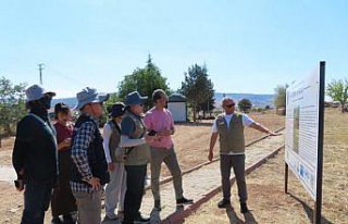 Güney Kore Ulusal Kültürel Miras Araştırma Enstitüsü...