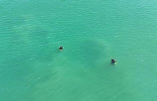 Ordu açıklarında 92 yıl önce batan Rus şilebine...