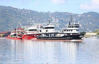 Ordu'da balıkçılar limana kasalar dolusu hamsiyle...