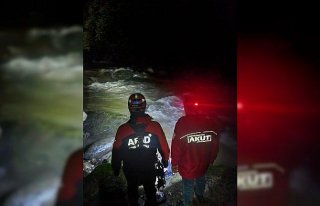 Rize'de engebeli arazide yuvarlanan turist hayatını...