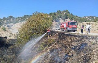 Taşova'da otluk alanda çıkan yangın söndürüldü