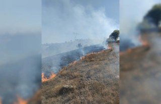 Tokat'ta makilik alanda çıkan yangına müdahale...