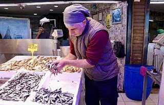 Trabzon'da hamsinin kilogramı 150 liradan satılıyor