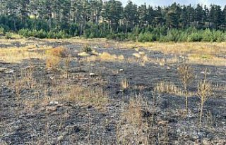Türkeli'de çıkan örtü yangını söndürüldü