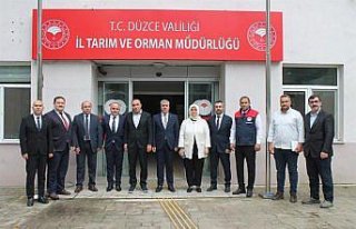 Düzce'de kahverengi kokarca zararlısıyla mücadele...