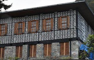 Kestane ağacından yapılan tescilli evler Arılı...