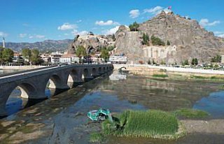 Kızılırmak'ta temizlik çalışması başladı