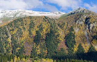 “Sakin şehir“ Şavşat'ta sonbahar rengarenk